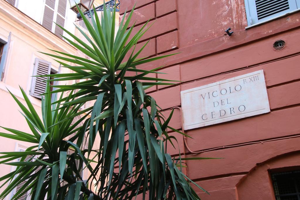 Cedro 28 Apartment Rome Ruang foto